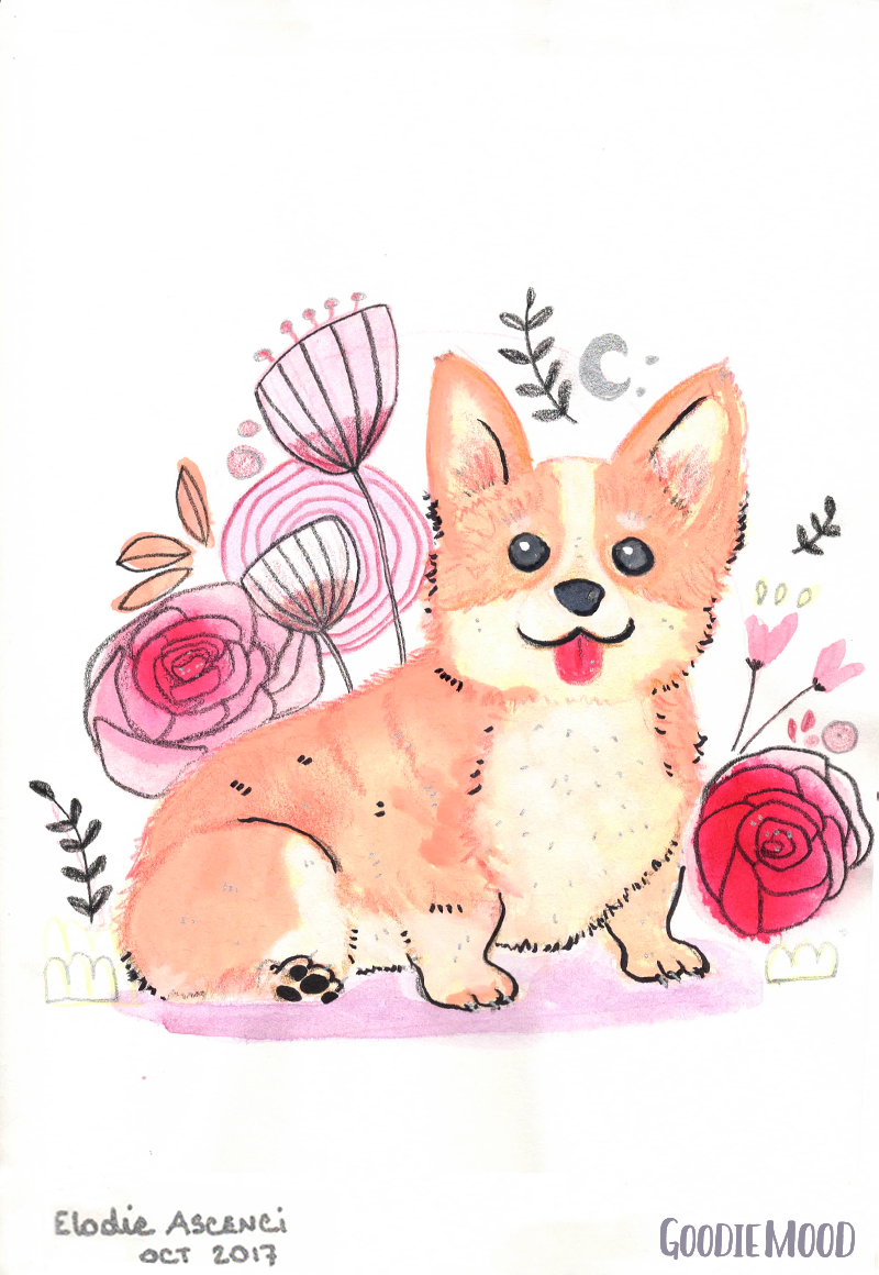illustration d'un chien corgi à l'aquarelle et aux crayons de couleurs