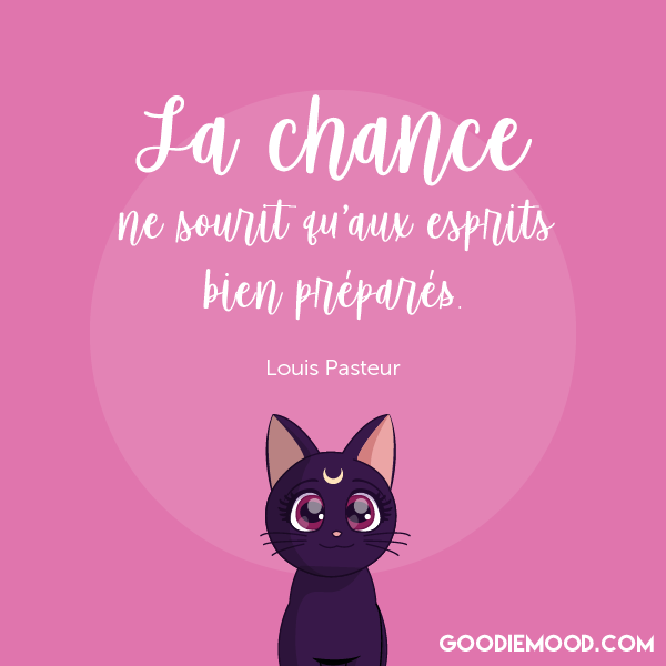 "La chance ne sourit qu'aux esprits bien préparés." - Louis Pasteur